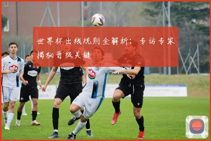 世界杯出线规则全解析：专访专家揭秘晋级关键