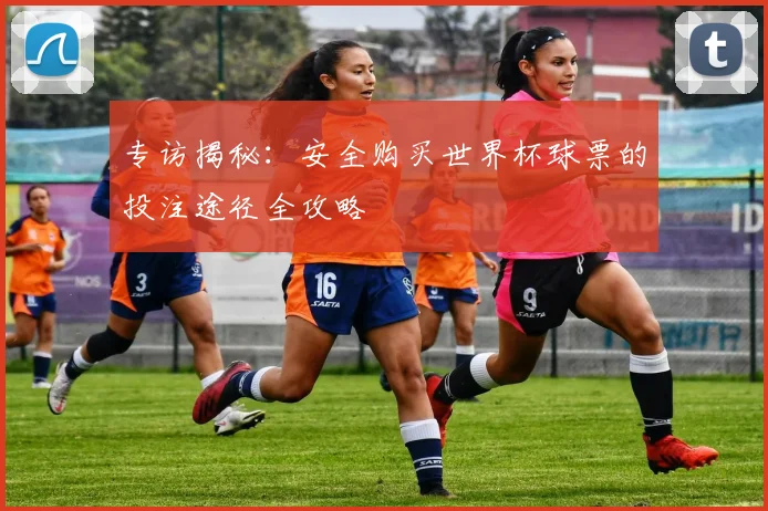专访揭秘:安全购买世界杯球票的投注途径全攻略