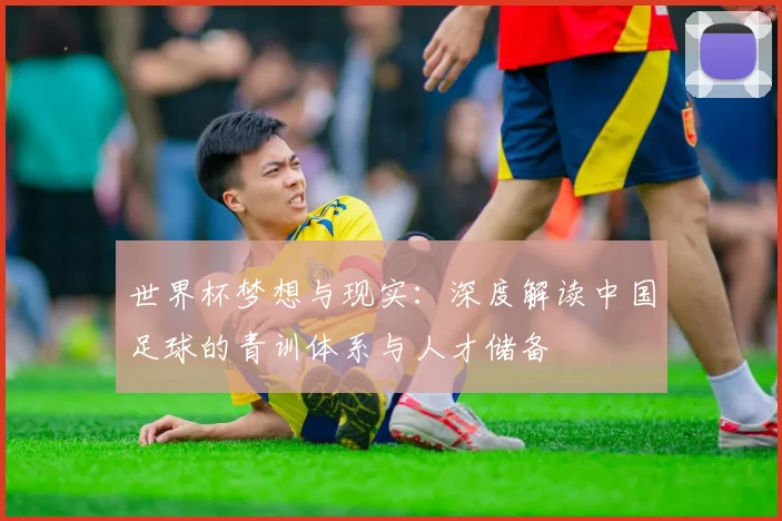 世界杯梦想与现实：深度解读中国足球的青训体系与人才储备