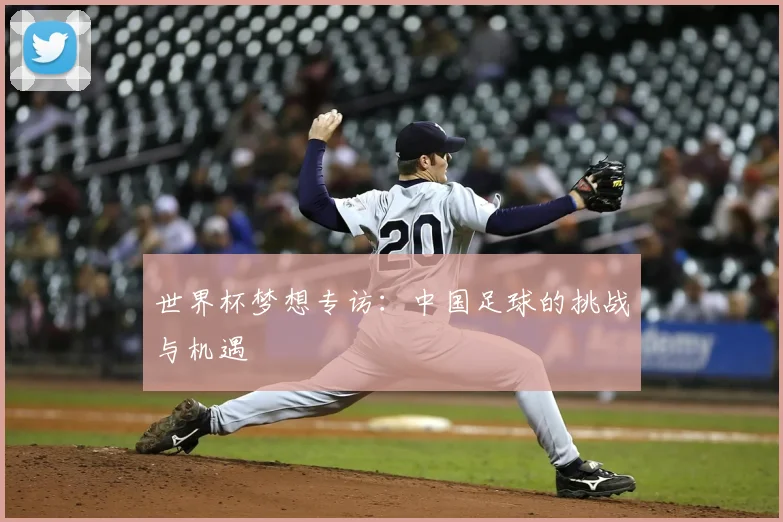 世界杯梦想专访：中国足球的挑战与机遇