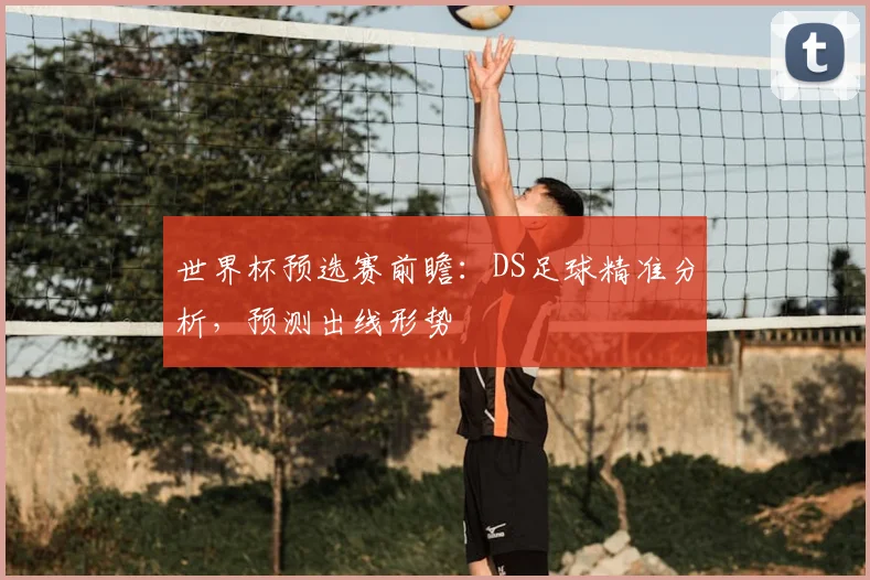 世界杯预选赛前瞻:DS足球精准分析,预测出线形势
