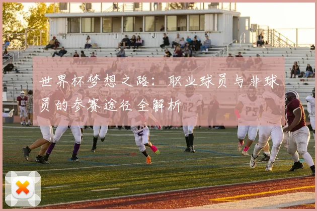 世界杯梦想之路：职业球员与非球员的参赛途径全解析