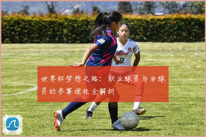 世界杯梦想之路：职业球员与非球员的参赛途径全解析