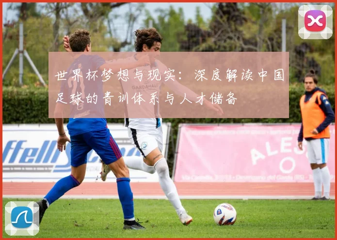 世界杯梦想与现实：深度解读中国足球的青训体系与人才储备